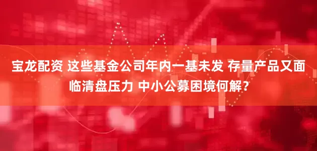 宝龙配资 这些基金公司年内一基未发 存量产品又面临清盘压力 中小公募困境何解？