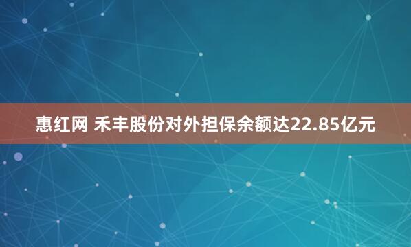 惠红网 禾丰股份对外担保余额达22.85亿元