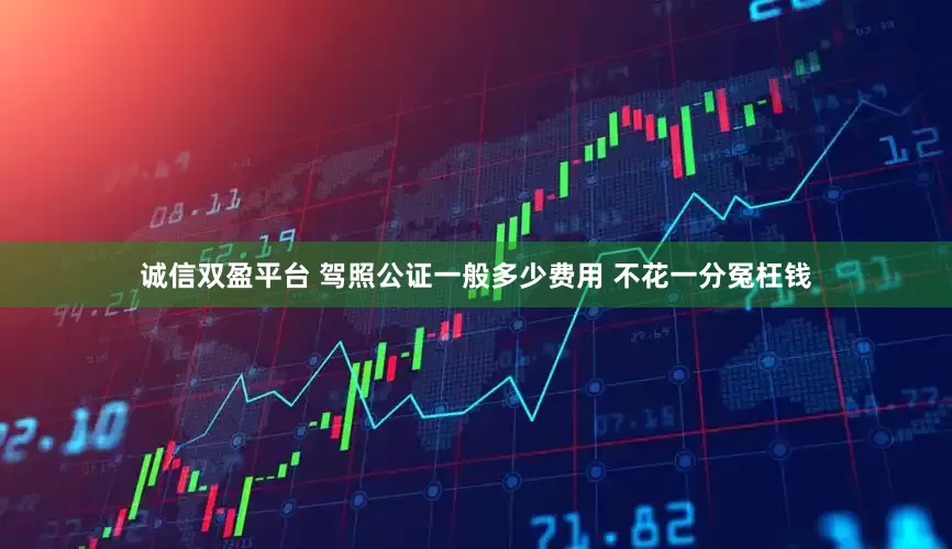 诚信双盈平台 驾照公证一般多少费用 不花一分冤枉钱